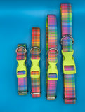 Neon Check Handmade Collection By Urban Tails