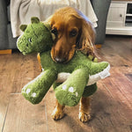 Big Paws Squeaker Dino Dog Toy By House of Paws