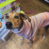 Arctic Pink Knitted Dog Sweater By GF Pet