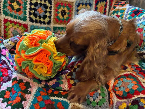 Handmade Large Snuffle Ball By Urban Tails