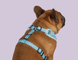Be Happy Overhead Dog Harness By Big & Little Dogs
