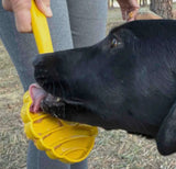 Lick Stick Bee Hive By Soda Pup