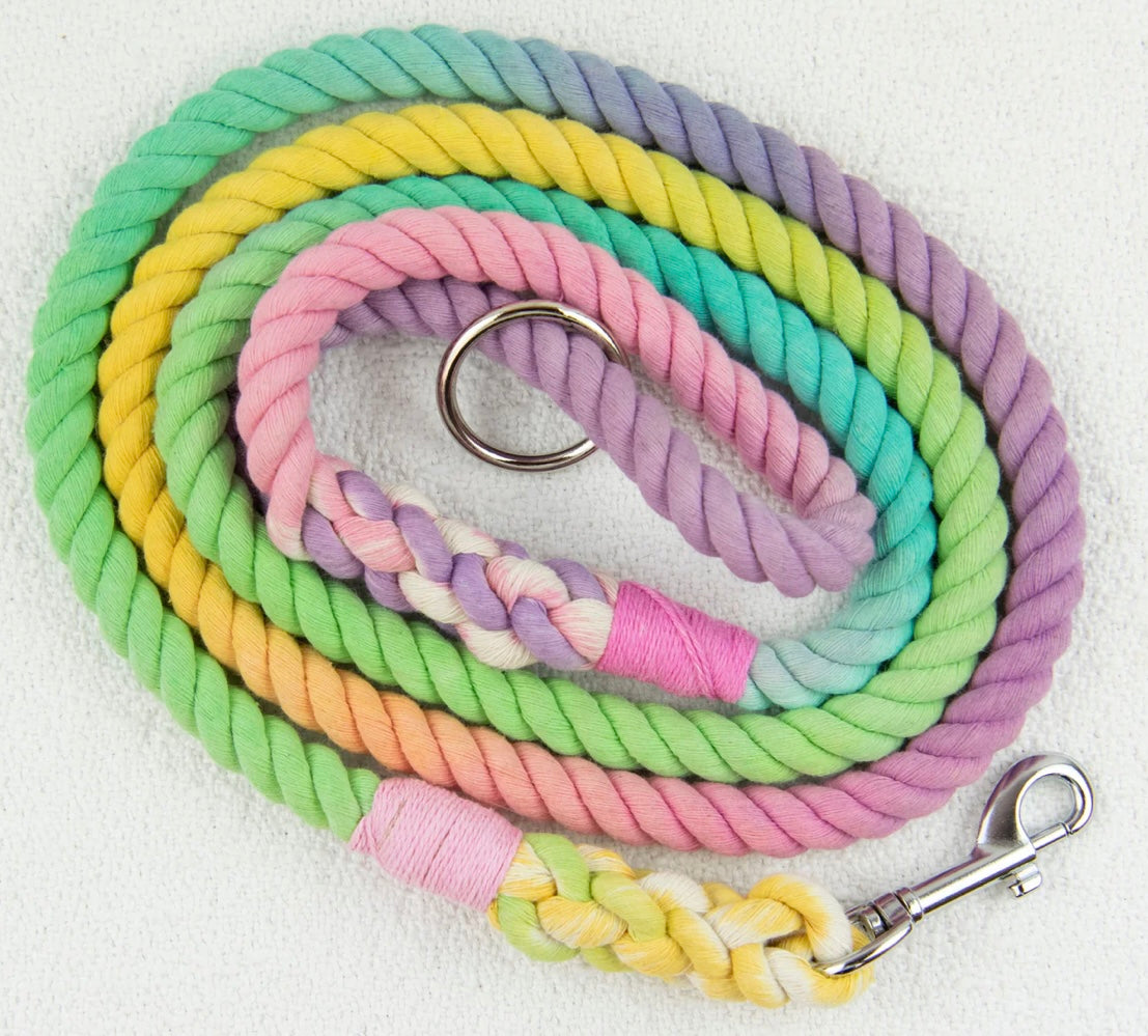 Rainbow leash hot sale