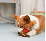 Spaghetti Meatball Ball Dog Toy By Hugsmart