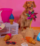 Pet Choice Cooling Ice Cream Toy Set By Wuf Wuf