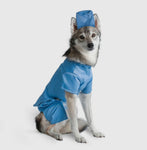 Medical Scrubs Dog Costume By Midlee