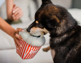 Hollywoof Poppin' Pupcorn Dog Toy By P.L.A.Y