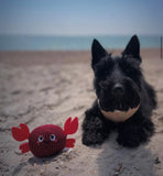 Ocean Pals Crab Ball Toy By Hugsmart