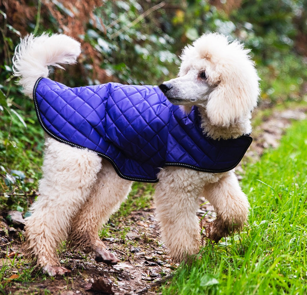 Purple Quilted Waterproof Dog Coat By Henry Wag – Love From Betty