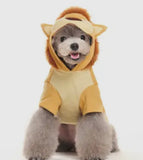 Lion Pride Hoodie By Dogo Pet