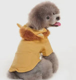 Lion Pride Hoodie By Dogo Pet