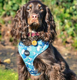 Ocean Adventures Over Head Harness By For Dog Lovers