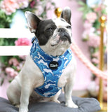 Ocean Adventures Over Head Harness By For Dog Lovers