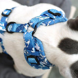 Ocean Adventures Over Head Harness By For Dog Lovers