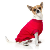 Magenta Pink All Day Sweater By FuzzYard