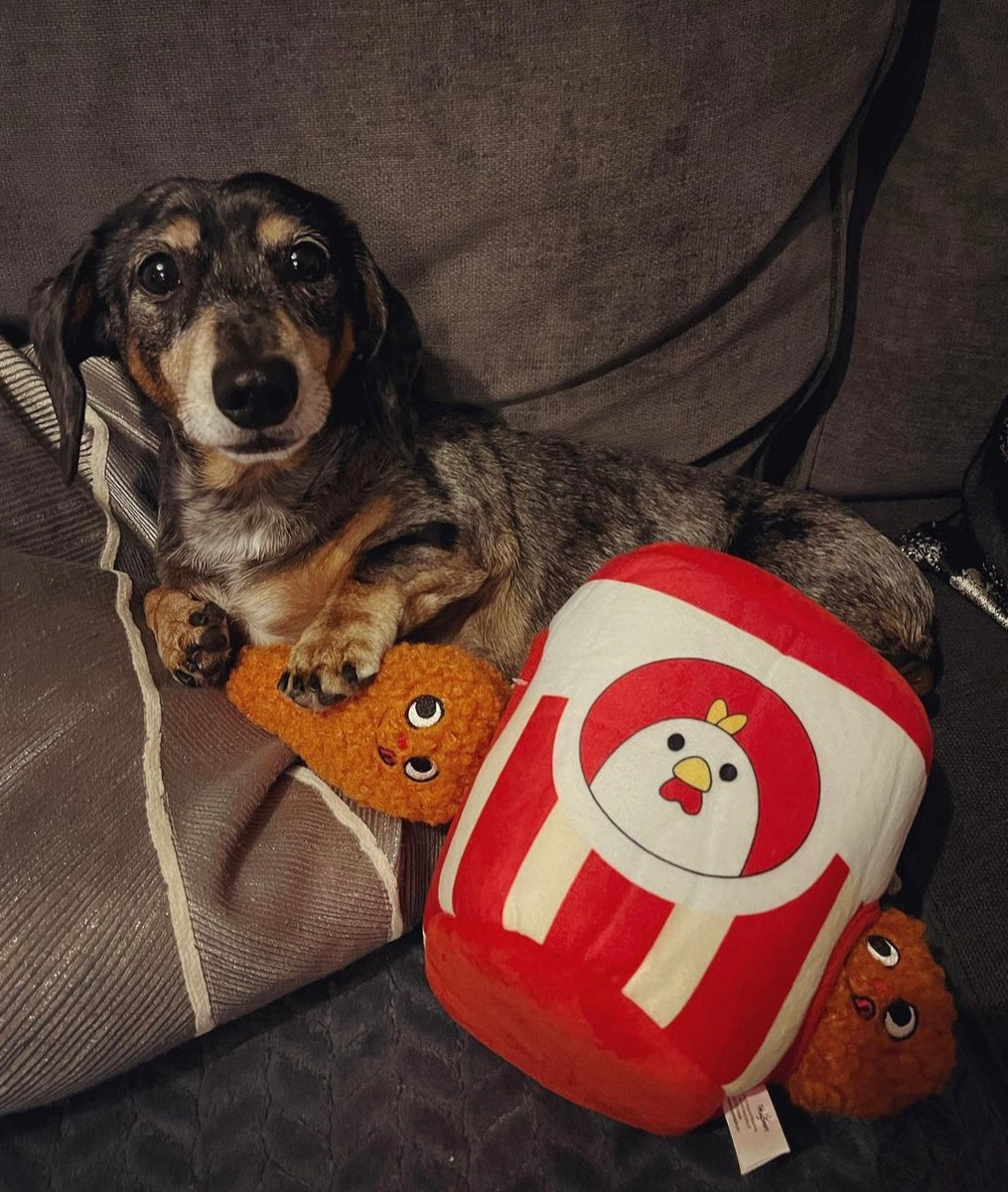 Kfc Toy KFC Chicken Box Meal – 3-Piece Dog Toy Set Chicken Box