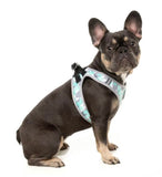 Mint Fizz Step In Dog Harness By Fuzzyard