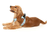Mint Fizz Step In Dog Harness By Fuzzyard