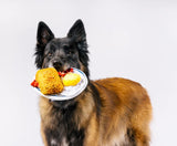 IHOP Breakfast Platter Toy By P.L.A.Y