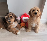 Mc Puppy Meal Snuffles Dog Toy By PawStory