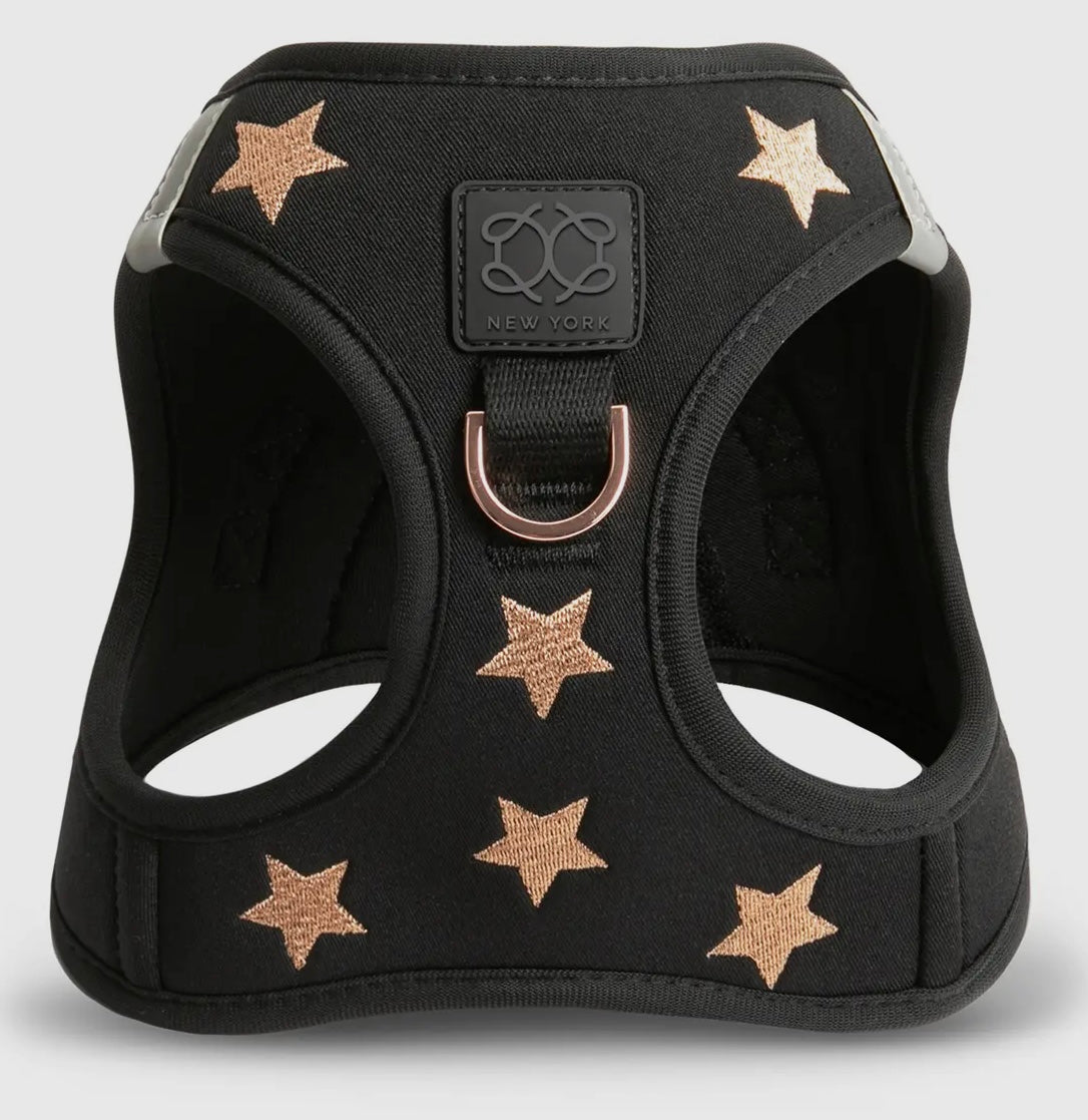 Luxe Rockstar Black Step In Harness By Dogistry – Love From Betty