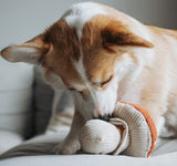 Mushroom Snuffle Toy By Lambwolf Collective