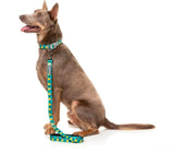 L Collar & Bow Merry Quackmass Duck Dog  By Fuzzyard