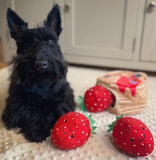 Pancake Party Snuffles Dog Toy By PawStory