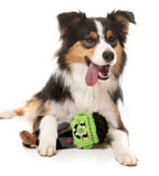 IGOR The Monster Halloween Toy By FuzzYard