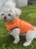 Neon Orange Puffer Coat By Doggy Concepts Outwear