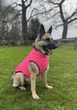 Neon Pink Puffer Coat By Doggy Concepts Outwear