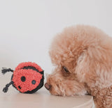Ladybird Pop Toy By Lambwolf Collective