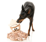 Octo-Posse Sir David Octoborough Dog Toy By FuzzYard