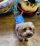 L Speed Of Light Raincoat By Reign Dog