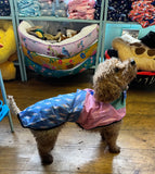 L Speed Of Light Raincoat By Reign Dog