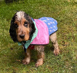 L Speed Of Light Raincoat By Reign Dog