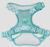Gingham- Peppermint Adventure All-Rounder Dog Harness By Big & Little Dogs