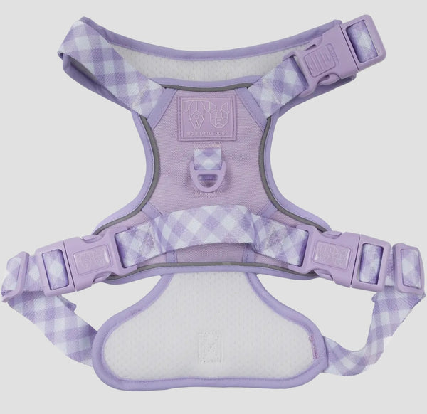 Gingham- Berry Purple Adventure All-Rounder Dog Harness By Big & Little Dogs