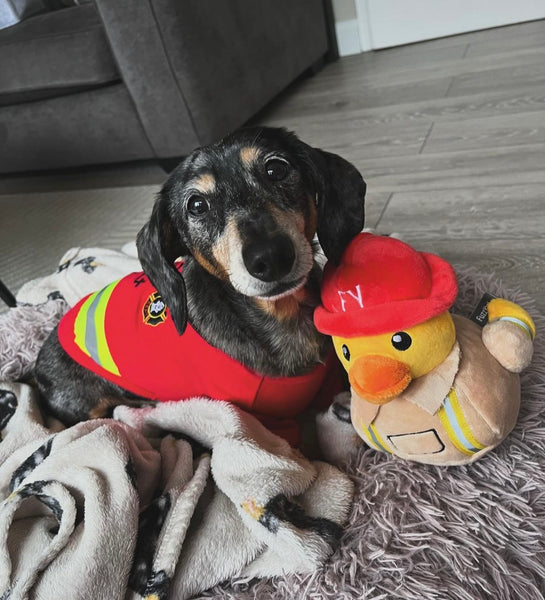 Waddle Squad Duck Firequacker Fire Fighter Dog Toy By FuzzYard