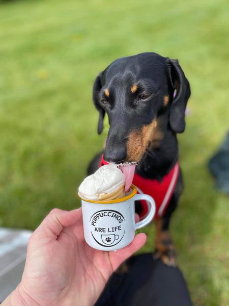 Puppuccinos Are Life Enamel Cup By Urban Tails