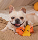 Autumn Pumpkin Trio Dog Toy Set By Hugsmart