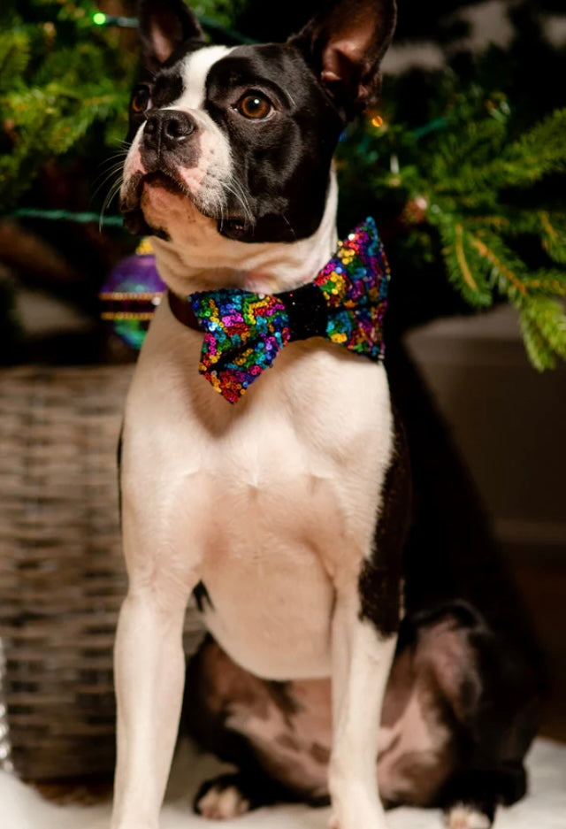 dog sequin bow tie