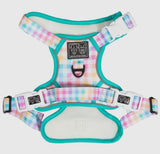 Gingham-Rainbow Adventure All-Rounder Dog Harness By Big & Little Dogs
