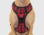 Plaid To The Bone Adventure All-Rounder Dog Harness By Big & Little Dogs