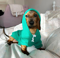 Forest Green Cosy Dog Hoodie