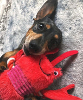 Under The Sea Lobster Dog Toy By House Of Paws