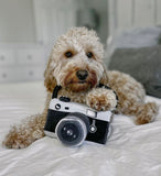 Camera Plush Dog Toy By P.L.A.Y