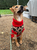 S XXL Animal Print Dog Jumper By House Of Paws