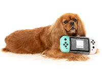 Dogtendo Switch Sniff Console Toy By FuzzYard