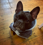 Microfibre Grey Dog Drying Coat By Henry Wag